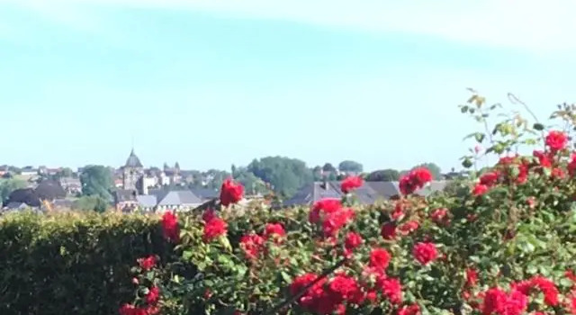 Vakantiewoning Hoge Zavel, Prenota Hotel Brakel 