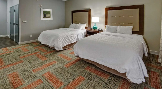 Номер Standard Hampton Inn Summerville SC