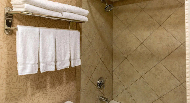 Двухместный номер Premium Ruby River Hotel