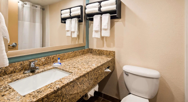Двухместный номер Standard Holiday Inn & Suites Columbia NE - Ft Jackson Area by IHG
