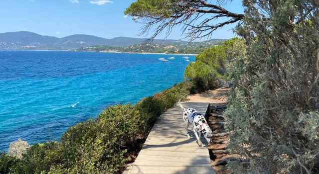 Апартаменты Golfe St Tropez Magique T2 duplex vue mer piscine, garage