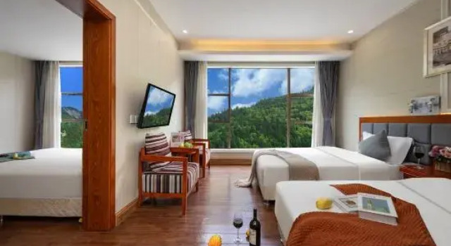 Люкс ShengJie Forest Vacation Hotel