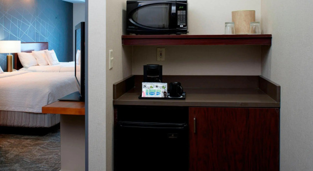Двухместная студия Springhill Suites by Marriott Frankenmuth
