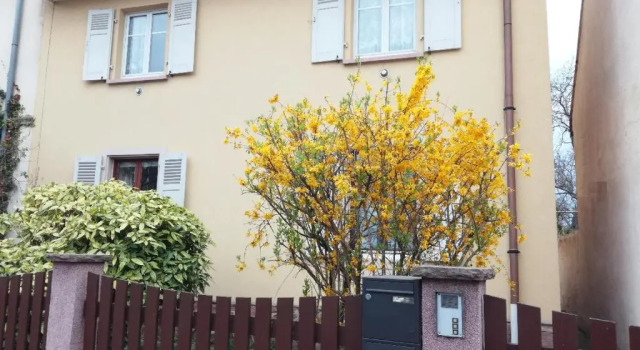 Appartement avec jardin à Colmar, Varaa Huoneisto Asunnot kohteessa Alsace, Huoneisto