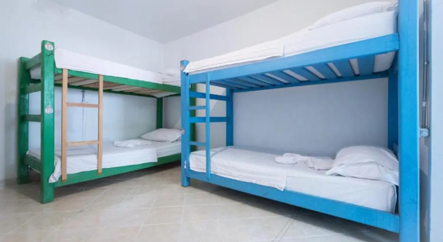 Кровать в общем номере Sugar Cane Hostel