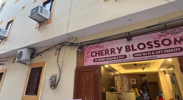 Hotel Cherry Blossom
