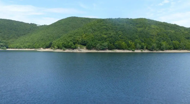 Коттедж с 3 комнатами Ferienhaus Fischbachtal