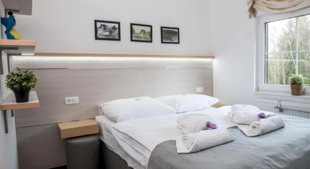 Семейный номер Standard Horský Hotel Dobrá Chata