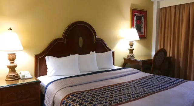 Номер Standard Golden Green Hotel