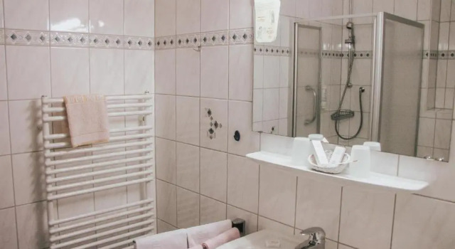 Одноместный номер Standard Hotel Harzer am Kurpark
