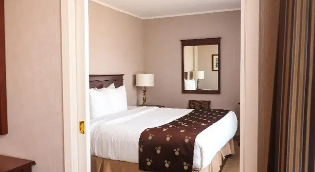 Люкс Quality Inn & Suites Downtown