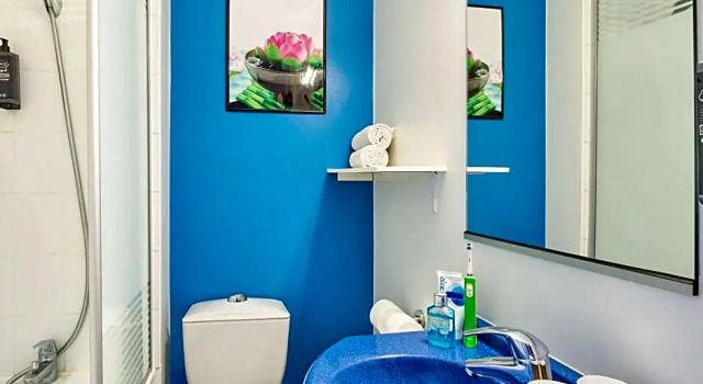 Двухместный номер Standard Ibis Budget Versailles Coignieres