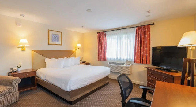 Номер Economy Senator Inn & Spa