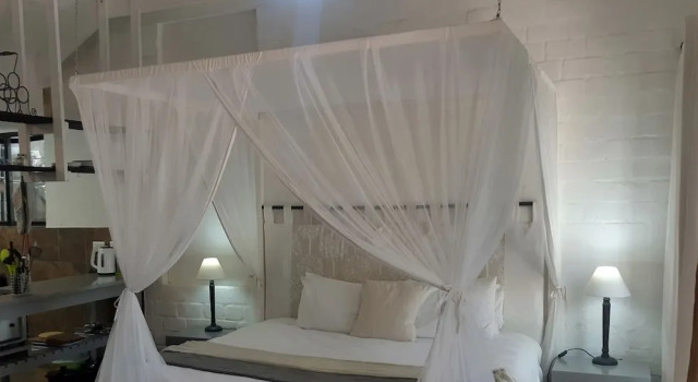 Апартаменты Цокольный этаж c 1 комнатой Hornbill House Self Catering Accommodation
