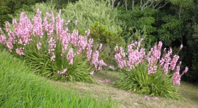 Casa Boavista, Book Lejlighed Hoteller i Santa Maria (Azores) med parkering, Parkering