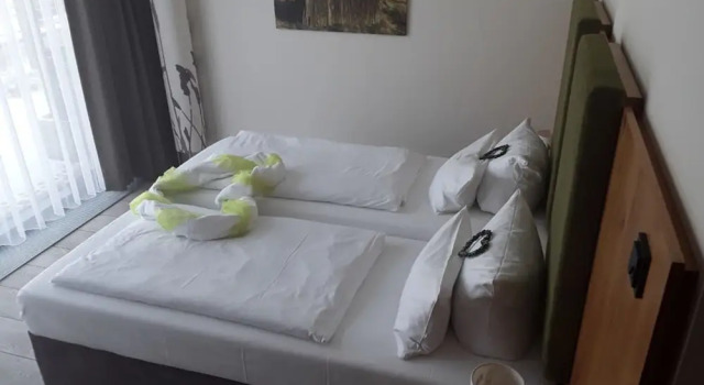 Номер Comfort Panorama Hotel Aschberg