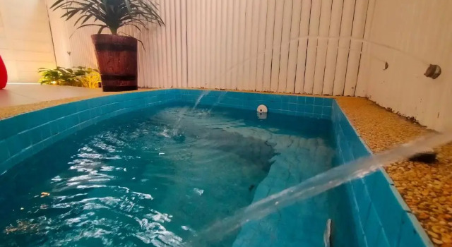 Люкс Tisha Langkawi Wellness Resort