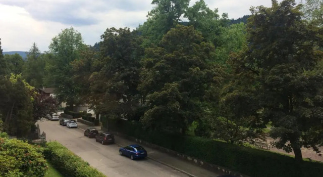 Апартаменты Deluxe Suite mit Blick auf die Lichtentaler Allee