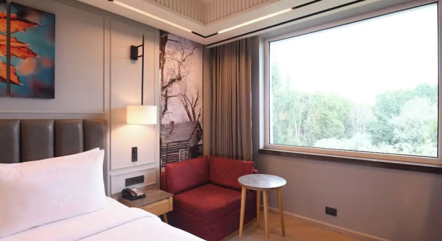 Двухместный номер Superior с видом на окрестности Ramada Encore by Wyndham Rajbagh Srinagar