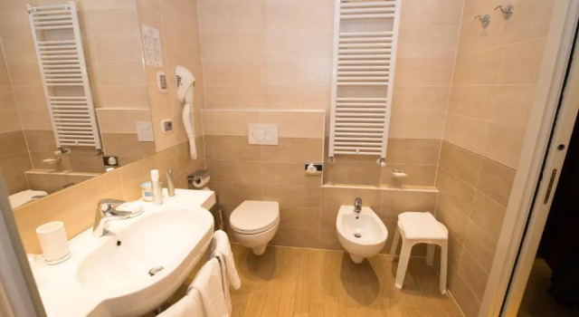 Трёхместный номер Standard Hotel Terme Vena DOro