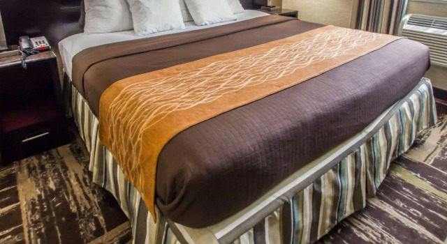Двухместный номер Standard Rodeway Inn Bronx Zoo