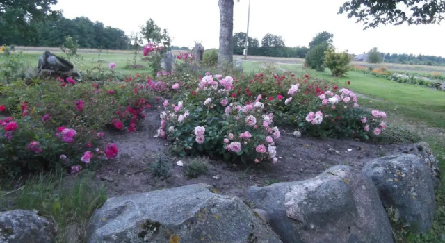 Brīvdienu māja Ievkalni