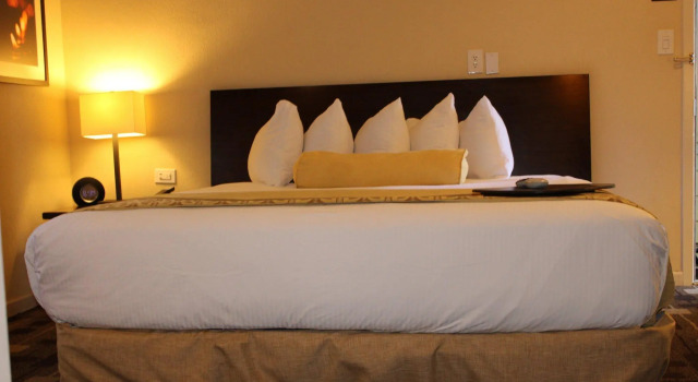Двухместный номер Standard The Zen Hotel Palo Alto