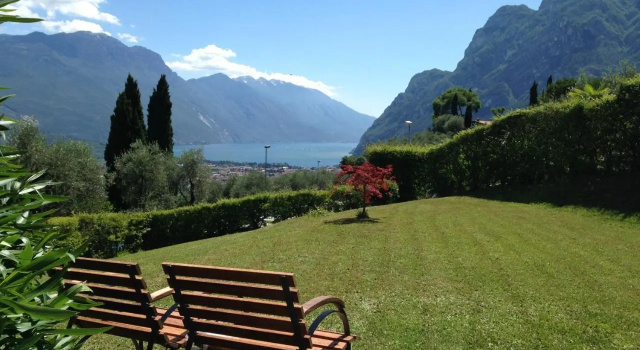 Verde Panorama