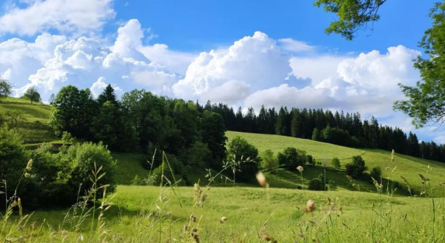 Biobetrieb Lippenhof, Réserver Hôtel Breitnau Feldberg
