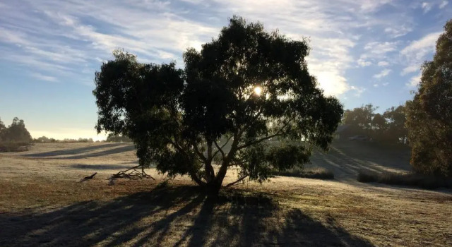 Коттедж Grampians Pioneer Cottages