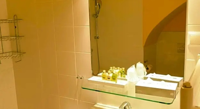 Номер Standard Schlosshotel Mailberg