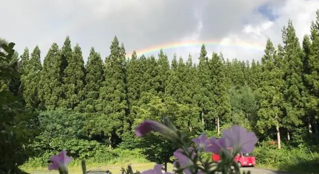 Номер Standard Yamagata Zao Pension Apron Stage
