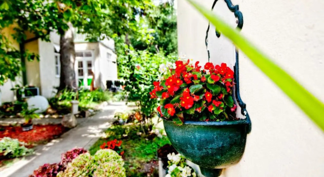 Номер Standard Pension Margit