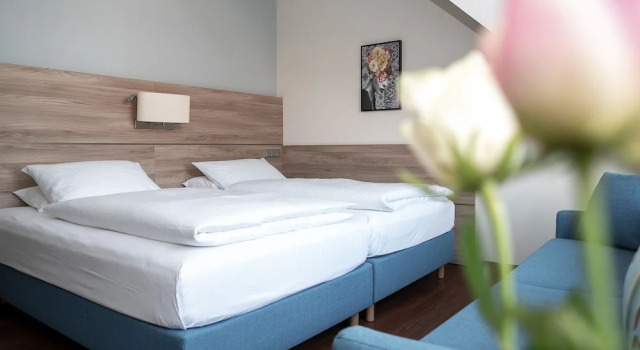 1 yatak odası Yönetici çift kişilik oda Hotel Kastanienhof