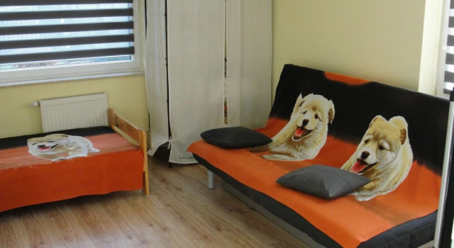 DW Delfinek, Book Hotel Ustka 