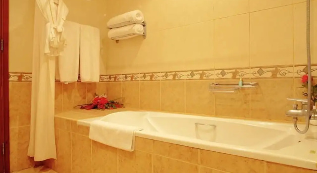 Люкс Presidential с 2 комнатами Gold Crest Hotel - Arusha