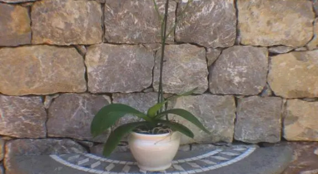 GARDEN VILLA SUITE - Hotel Villa Schuler, Book Villa Hotels in Sicily with Parking, Parking