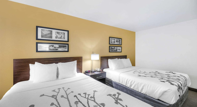 Четырёхместный номер Standard Sleep Inn & Suites Carlsbad Caverns Area
