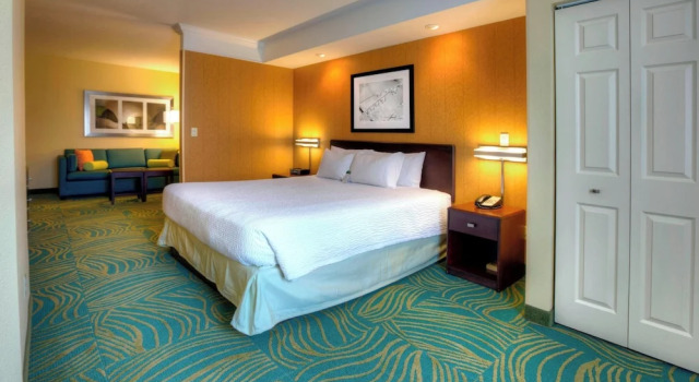 Люкс SpringHill Suites by Marriott - Tampa Brandon