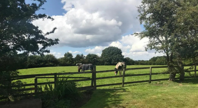 Двухместный номер Deluxe Rylands Farm Guest House