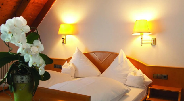 Номер Business Hotel-Restaurant Hirsch