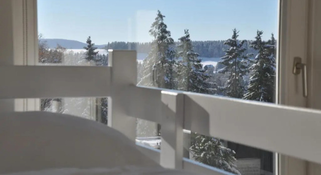 Апартаменты Standard Haus Sonneck - Apartmenthaus - Sonnenterrasse mit Grill - 1-8 Personen - ruhige Lage mit Blick über Braunlage