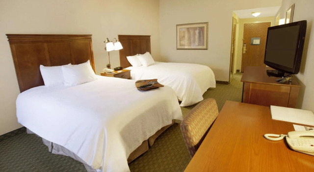 Четырёхместный номер Standard Hampton Inn Sidney