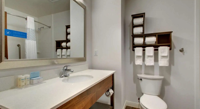 Номер Standard Hampton Inn & Suites Greenville Airport