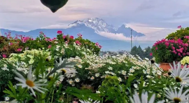 Lijiang The Rooftop Bistro&Bar• English Corner Snow Mountain view Hostel, Забронировать Хостел Хостелы Лицзян, рядом с Dongba Culture Museum, Хостел
