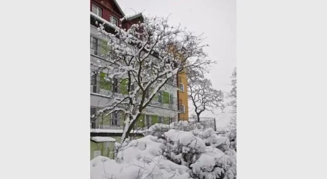 Ośrodek Leśne Wzgórze, Réserver Hôtel Rabka-Zdrój 