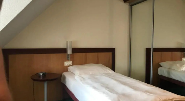 Номер Standard Hotel Gasthof Grüner Wald