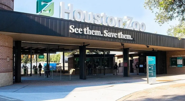 Heights Bungalow in Greater Heights Houston, Child-friendly, Work-cation, Sleeps 8, Reserva ahora Hotel Houston Texas Gulf Coast