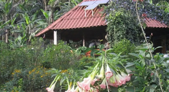 Finca Neblina del Bosque, Book Hotel El Rodeo Esteli Region