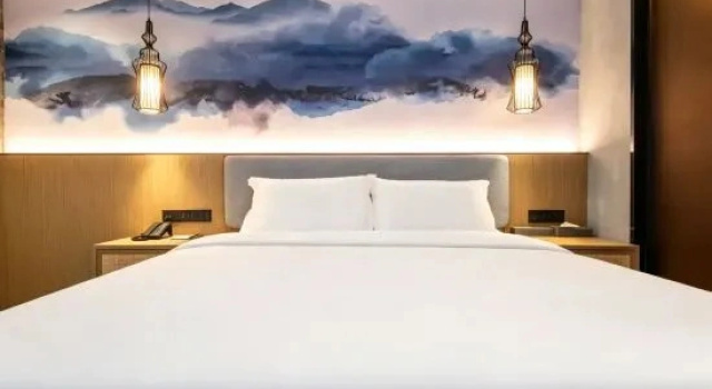 Двухместный люкс Luxury Mehood Lestie Guangzhou South High-speed Railway Station